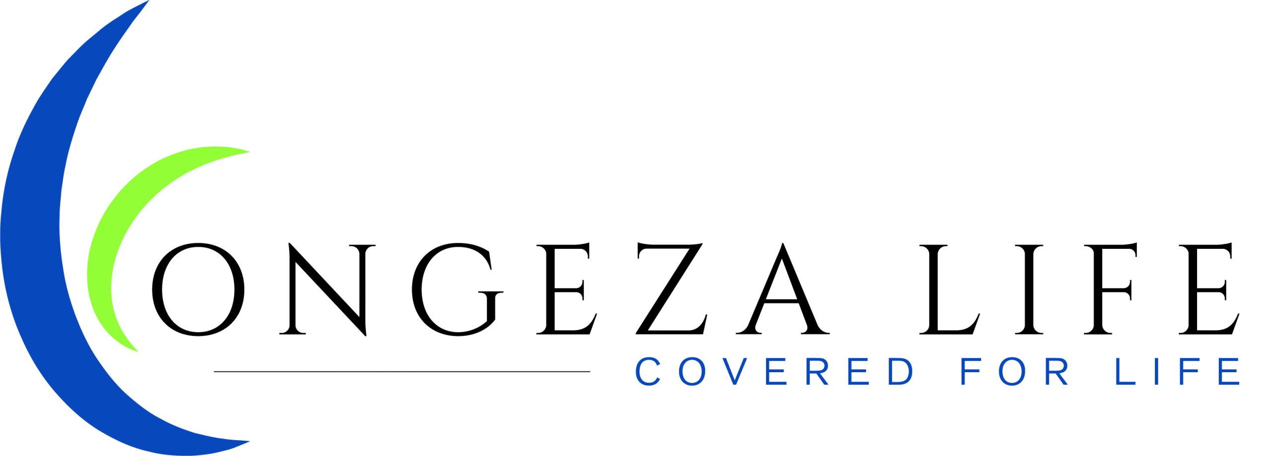 Ongeza Logo